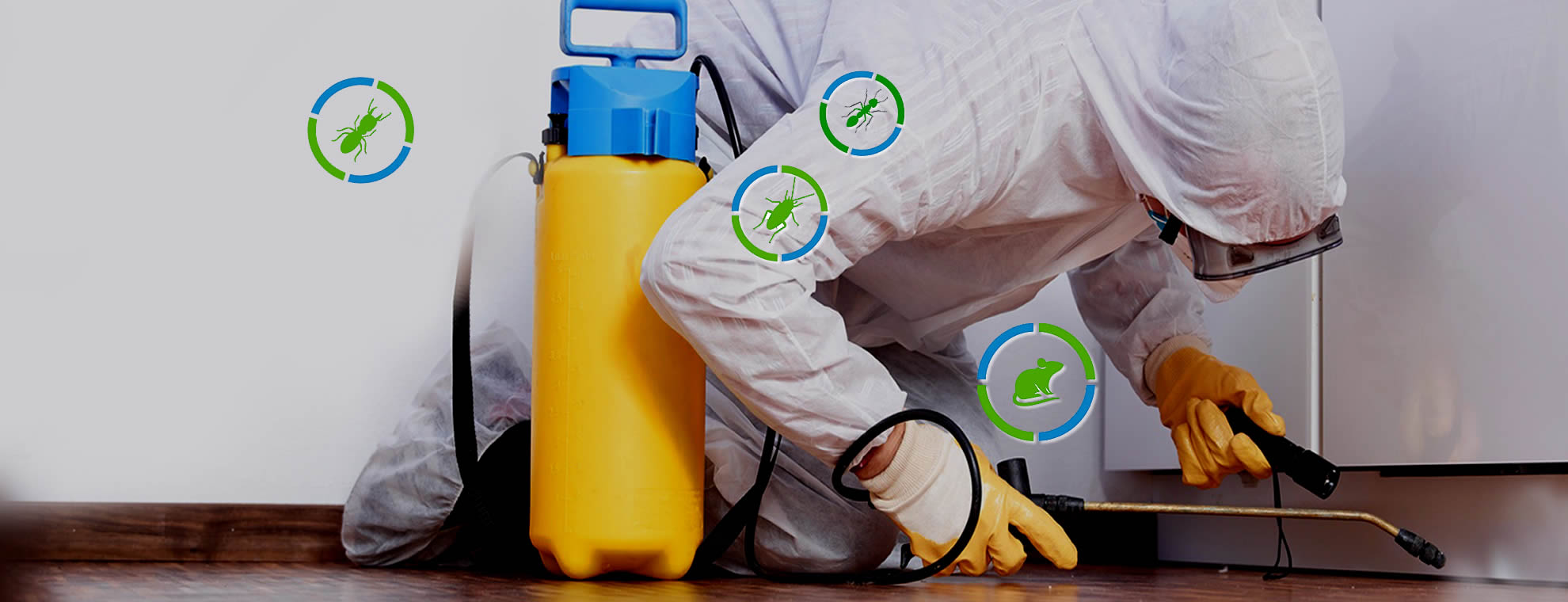 BioPlagasMallorca Control de Plagas, control de plagas