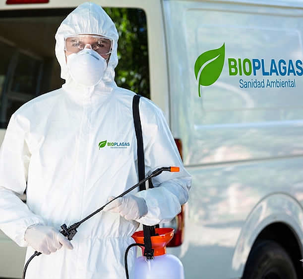 empresa de fumigación y Control de plagas profesional