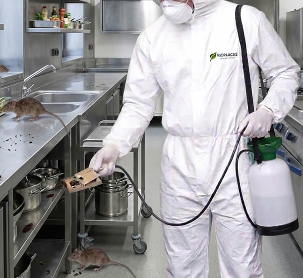 empresa de fumigación y Control de plagas profesional