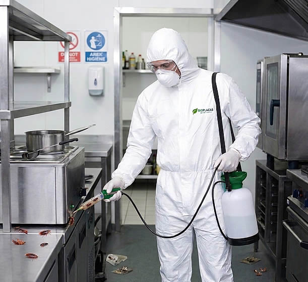 empresa de fumigación y Control de plagas profesional